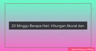 ilustrasi 20 minggu berapa hari