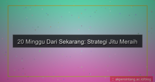 20 minggu dari sekarang