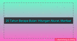 tampilan 20 tahun berapa bulan