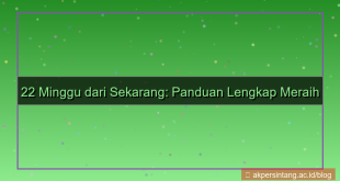 gambar 22 minggu dari sekarang