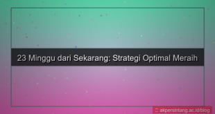 visual 23 minggu dari sekarang