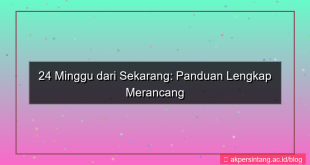 ilustrasi 24 minggu dari sekarang