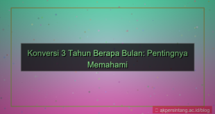 3 tahun berapa bulan