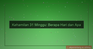 tampilan 31 minggu berapa hari