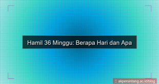 desain 36 minggu berapa hari