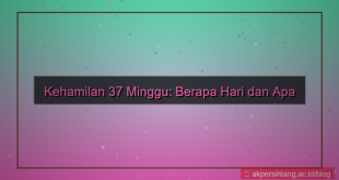 tampilan 37 minggu berapa hari