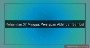37 minggu dari sekarang