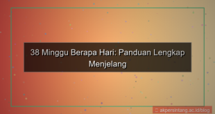 desain 38 minggu berapa hari