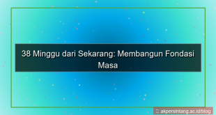 ilustrasi 38 minggu dari sekarang