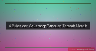 gambar 4 bulan dari sekarang