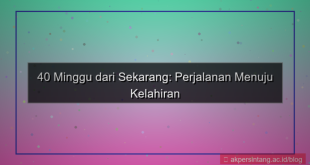 desain 40 minggu dari sekarang