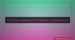 ilustrasi 41 minggu berapa hari
