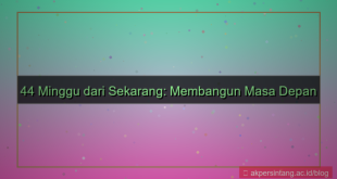 ilustrasi 44 minggu dari sekarang