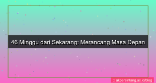 46 minggu dari sekarang