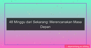 48 minggu dari sekarang