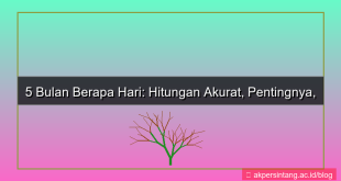 5 bulan berapa hari