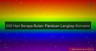 visual 500 hari berapa bulan
