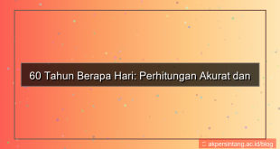 visual 60 tahun berapa hari
