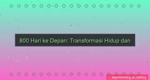 visual 800 hari dari sekarang