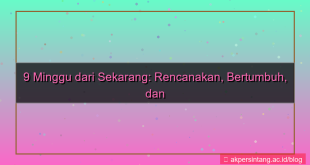 desain 9 minggu dari sekarang
