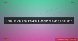 visual Aplikasi PayPal Penghasil Uang