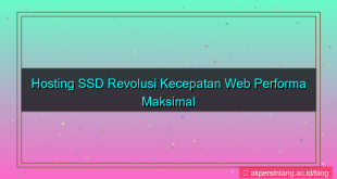 visual Hosting SSD