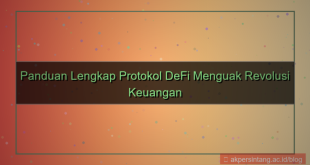 tampilan DeFi Protocol