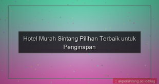 hotel murah sintang