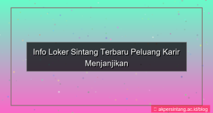 ilustrasi info loker sintang
