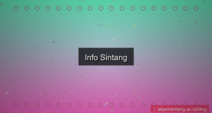 ilustrasi info sintang