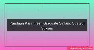 gambar kerja fresh graduate sintang