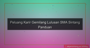 kerja lulusan sma sintang