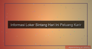 tampilan loker sintang hari ini