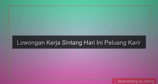 lowongan kerja sintang hari ini