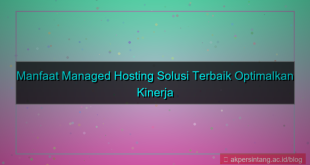 ilustrasi Managed Hosting