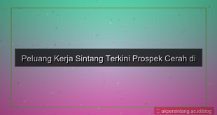 tampilan peluang kerja sintang
