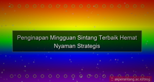 konten penginapan mingguan sintang