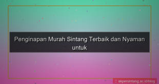 penginapan murah sintang