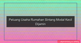usaha rumahan sintang