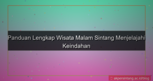 tampilan wisata malam sintang