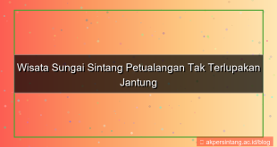 visual wisata sungai sintang