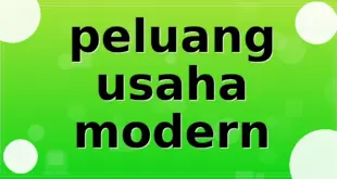 peluang usaha modern